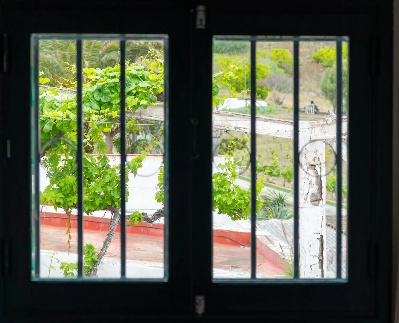 Apartment Apartamento Los Lirios Santa Brigida